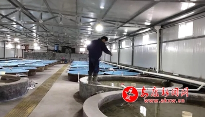 嵐皋縣各漁業企業有序開展復工復產工作，保障畜牧漁業飼料供應