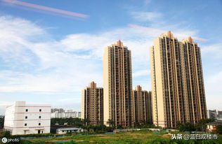 住宅開(kāi)發(fā)占比創(chuàng)五年新高，房地產(chǎn)市場(chǎng)結(jié)構(gòu)失衡引關(guān)注