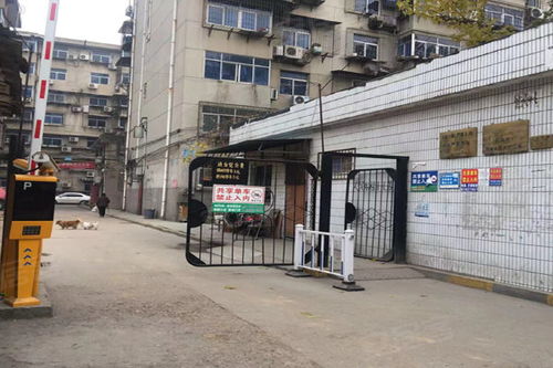 西安玻璃制品廠家屬院深度解析 優(yōu)點、不足與周邊市場觀察